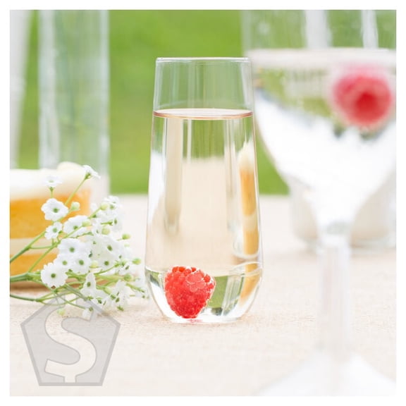 WNA Comet RESSFL10 Reserv 10 oz. Clear Plastic Stemless Flute - 64/Case