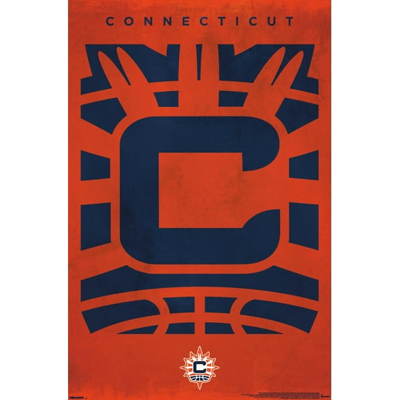 WNBA Connecticut Sun - Logo 25 Wall Poster, 22.375" x 34"