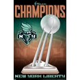thumbnail image 1 of WNBA New York Liberty - 2024 WNBA Finals Team Logo Wall Poster, 22.375" x 34", 1 of 3