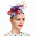 thumbnail image 1 of WNEGSTG Head Scarf Headbands Hair Accessories for Women,Hat for Women Wedding Flower Cocktail Mesh Feathers Hair Clip Tea Party Headband, 1 of 8