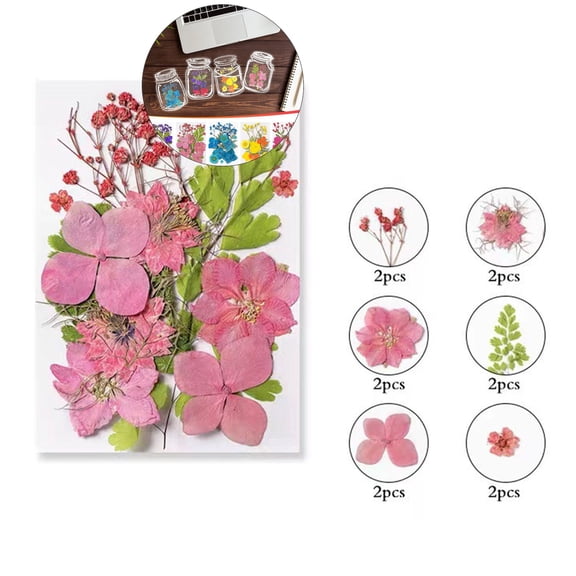 WNFJR Dried Flower Bookmarks, Dried Flower Bookmarks Kit, Handmade Botanical Specimen Bookmark, Bookmarks Transparent Beautiful Flower Page