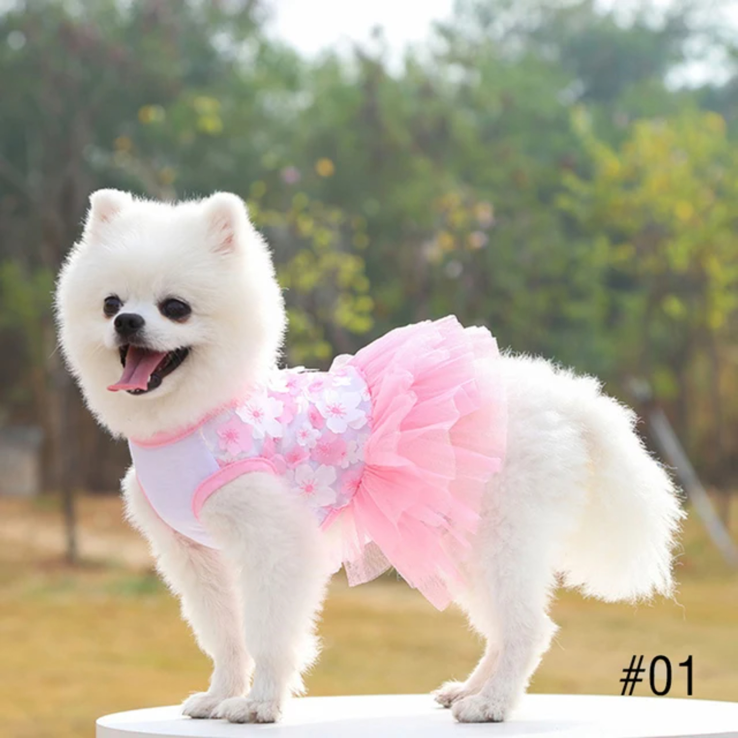 WNGSHA fabulous. Get ready for compliments when your pet struts their