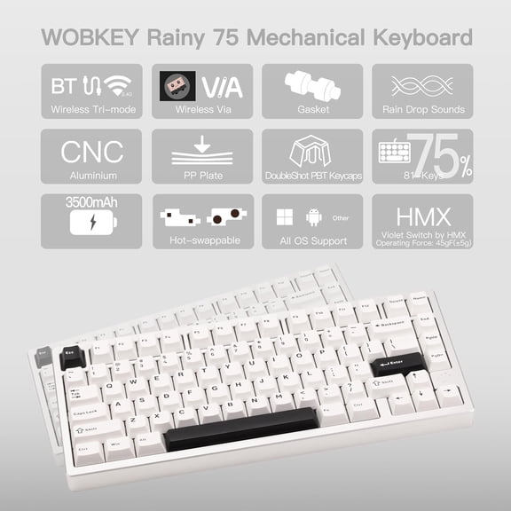 WOBKEY Rainy 75 CNC Aluminum HMX/JWK/Cocoa Switches Triple-Mode Connectivity Mechanical Keyboard with Superior Acoustics, No RGB/PP/Mirrored Glass/3500mAh/Violet Switch (Lite - Silver)