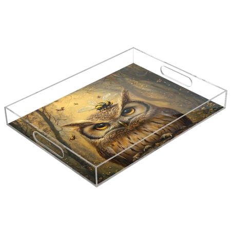WOBOGO Acrylic Serving Trays 15.7x11.8 Inch Spill Proof Clear Decorative Organizer with Handle An Owl with Bumblebee Pattern