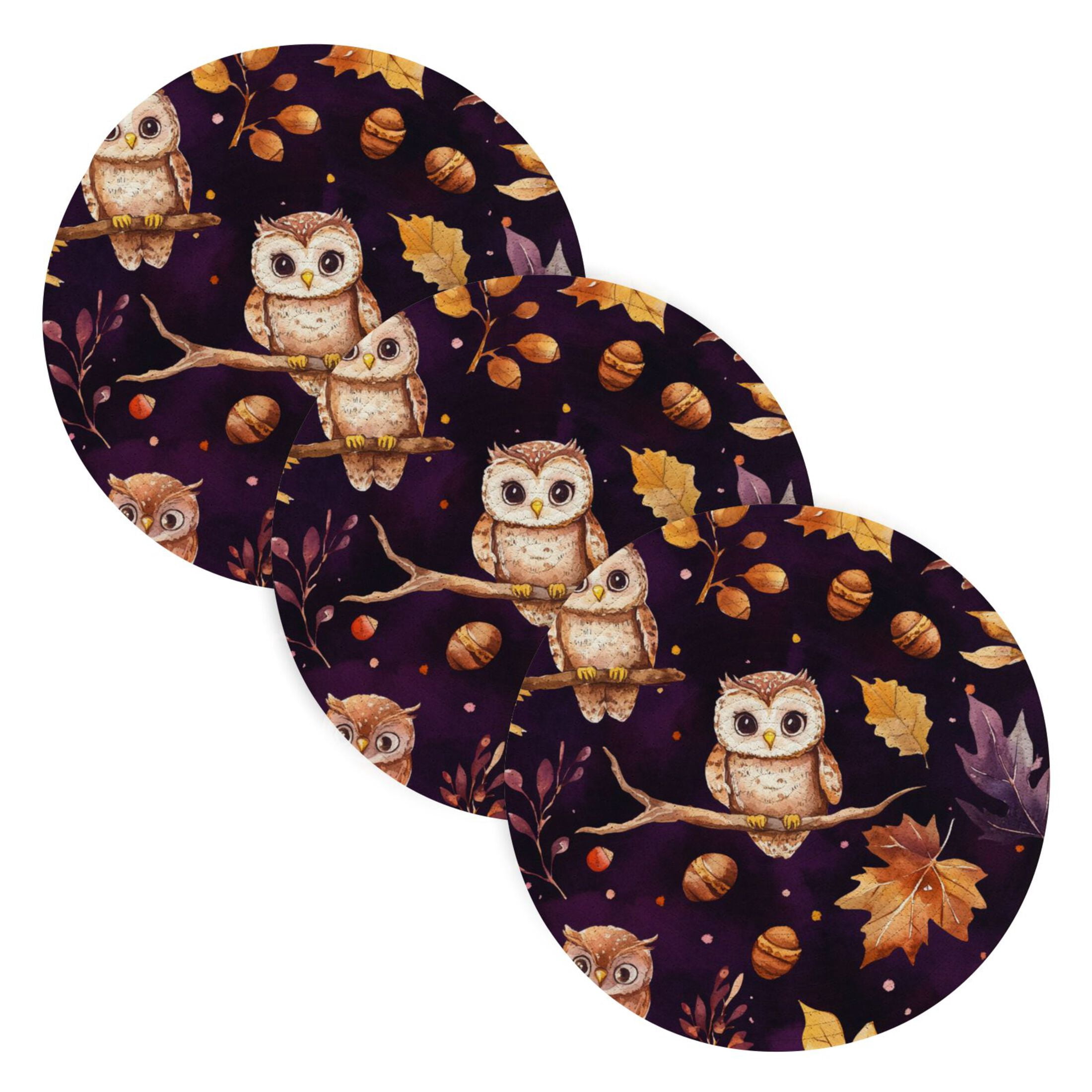 WOBOGO Adorable Baby Owls and Acorns Pattern Coil Placemats 3pcs Resistant Hot Pads Mat for Table Counter Cooking Potholder 15in