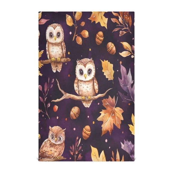 WOBOGO Adorable Baby Owls and Acorns Pattern Kitchen Towel 1 Piece Large Cotton Dishcloth Premium Absorbency Set with Hanging Loop