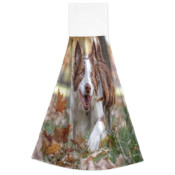 WOBOGO Border Dog Hand Towel Set of 2 Absorbent for Kitchen and Bathroom With Velcro Hanging Loop 18.214in