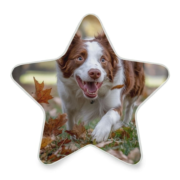 WOBOGO Border Dog LED Star Night Light 0.2 Watt Wall Plug Dusk to Dawn Auto Switch Adjustable Brightness Soft White Light
