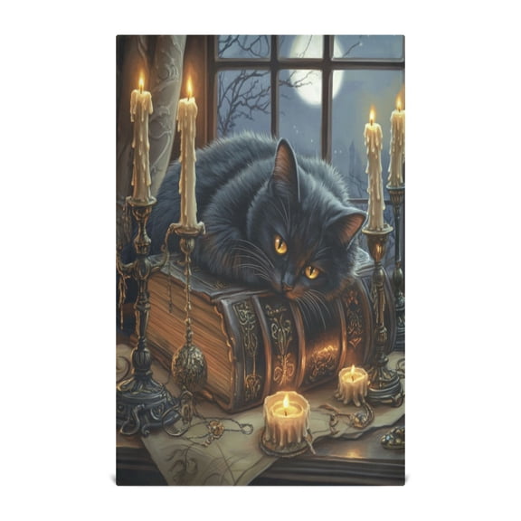 WOBOGO Fluffy Black Cat Kitchen Towel 1 Piece Large Cotton Dishcloth Premium Absorbency Set with Hanging Loop