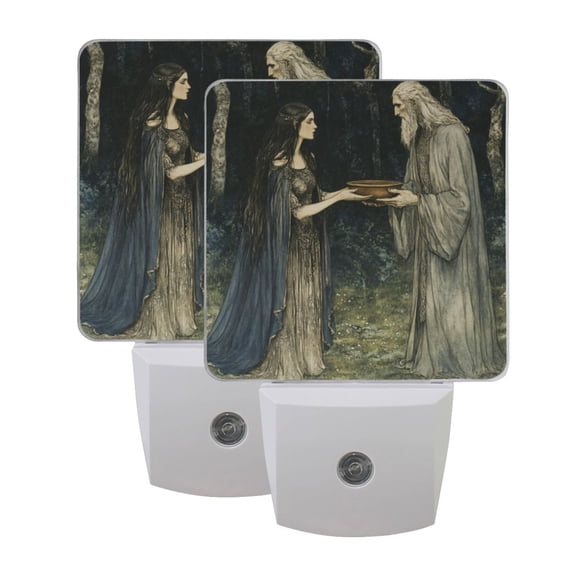 WOBOGO Passing The Basin LED Night Light 2 Pcs Set 0.5 Watt Wall Plug in Dusk to Dawn Automatic Switch Soft White Light