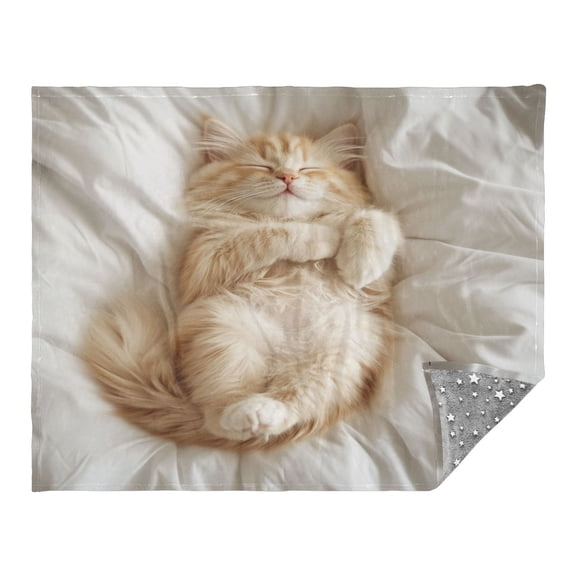 WOBOGO Sleeping Cat Facecloth Blanket Fluorescent Effect in The Dark Four Seasons of Comfortable and Soft Skin Friendly Sheet 7055in