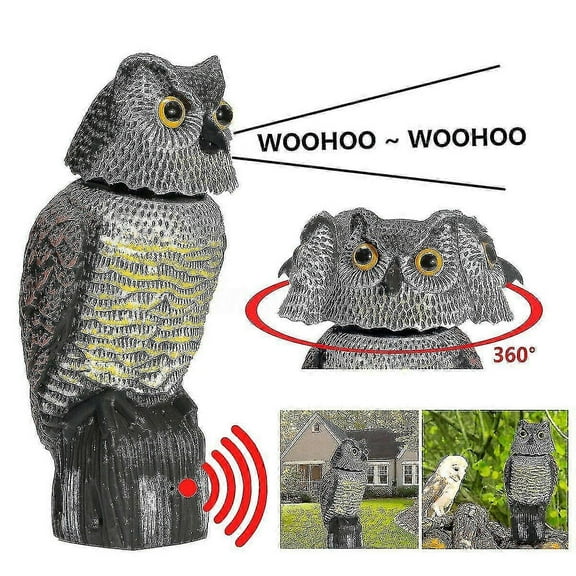WOLF PEOPLE Owl With Rotating And Sound