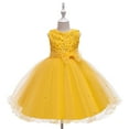 thumbnail image 1 of WOLLED Kids Girls Sleeveless Princess Dresses Toddler Printed Tulle Dress Tutu Girls Wedding Party Gown for 2-10 T, 1 of 9