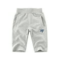 thumbnail image 1 of WOLLED Kids Toddler Boys Cotton Shorts Summer Seven Points Elastic Waist Pants for Baby Cartoon Printing Casual Sweat Shorts 1-9 Years, 1 of 8