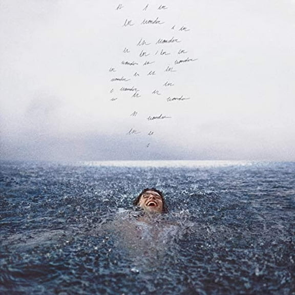 WONDER Shawn Mendes Exclusive Audio CD **BONUS COLLECTIBLE POSTER** NEW