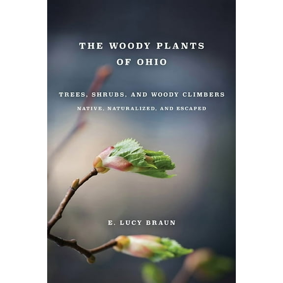 WOODY PLANTS OF OHIO : Trees, Shrubs, and Woody Climbers: Native, Naturalized, and Escaped (Paperback)