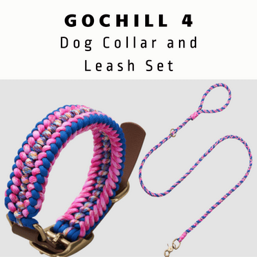 WOONONO Adjustable Dog Collar and Leash Set, Reflective Collars with Brass Buckle and D-Ring for Medium Dogs Walking and Training