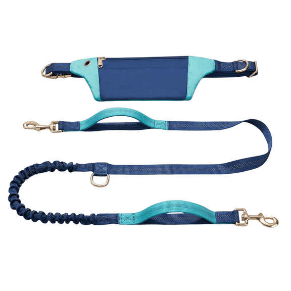 WOONONO Freejoy 63 In Nylon Nylon Hands-Free Leashes, Blue, 1 Piece Set