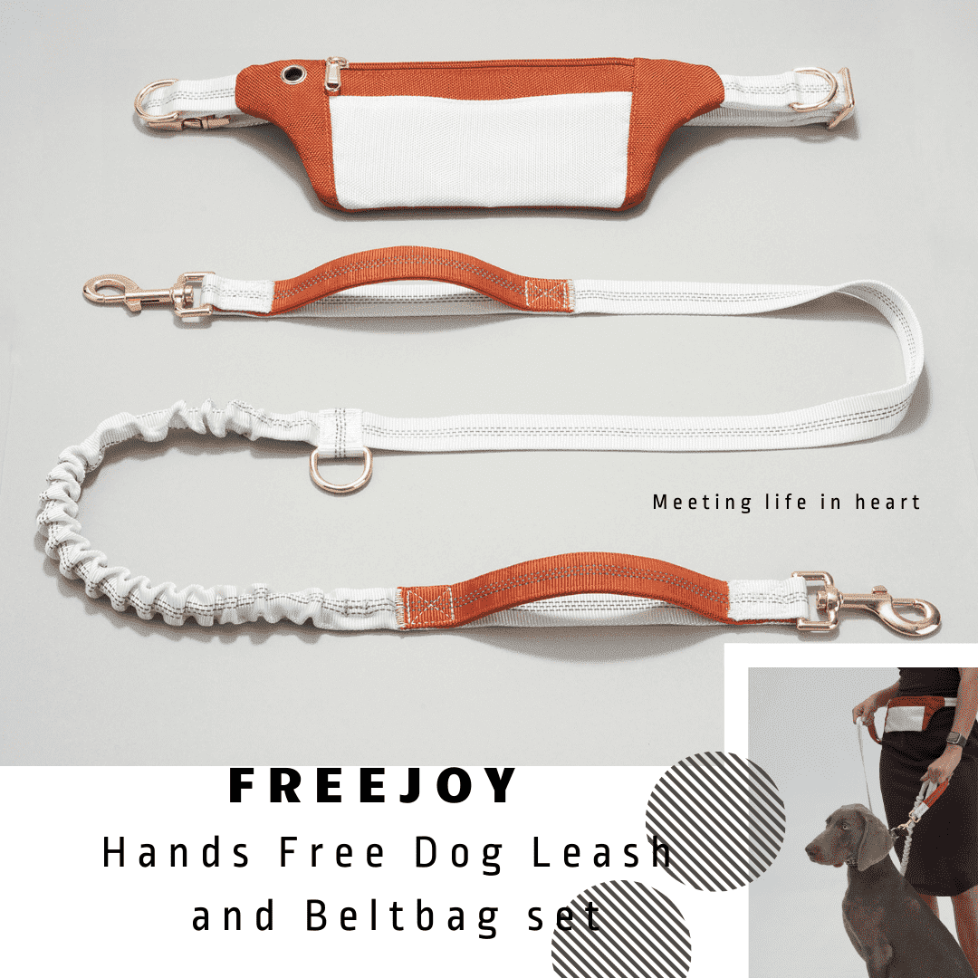 WOONONO Hands Free Dog Leashes with Zipper Pouch, Retractable Bungee ... - Leashes For Optimistic Businesses With Soft Retractable Design