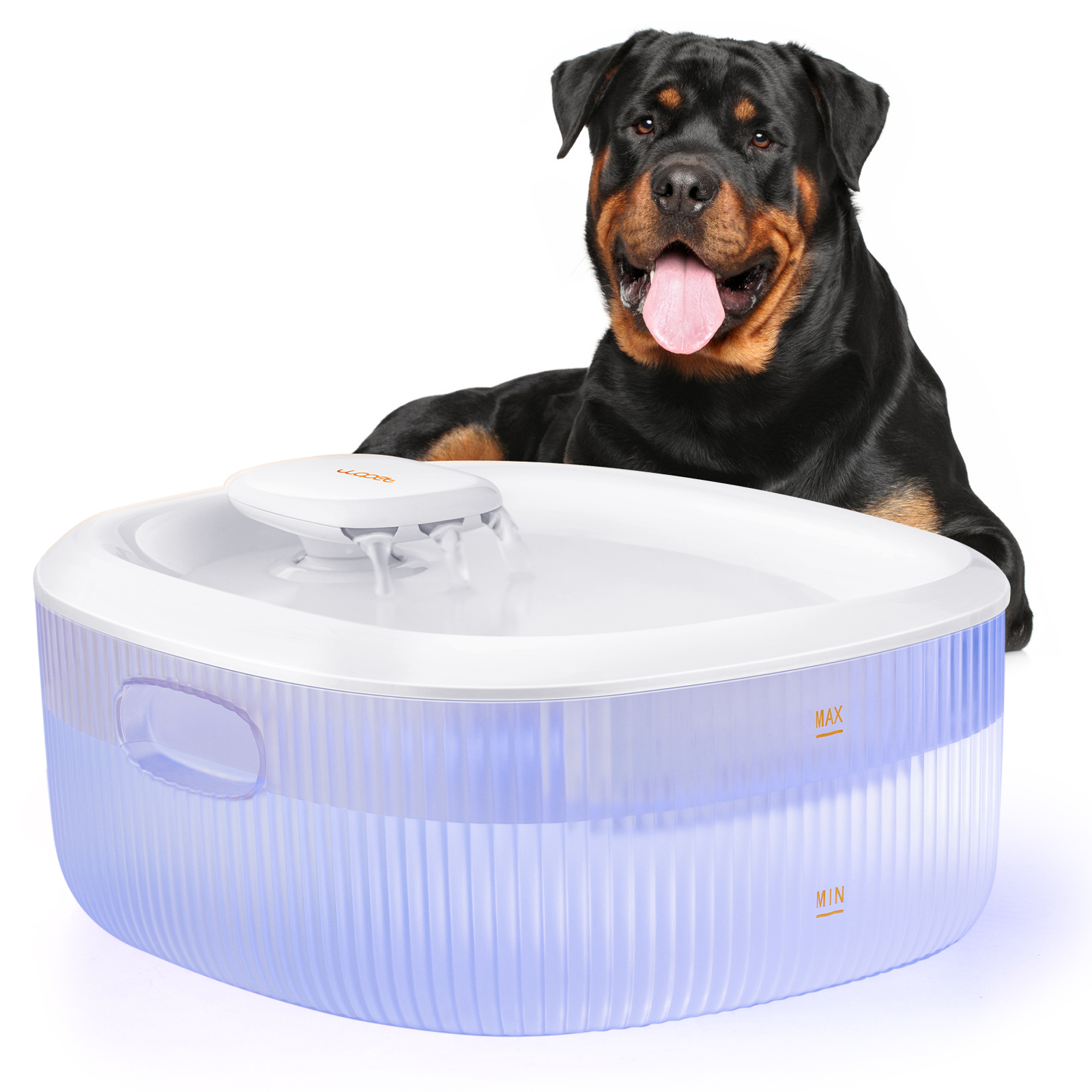 PetSafe Drinkwell Big Dog Water Fountain, Great for Large Breeds and