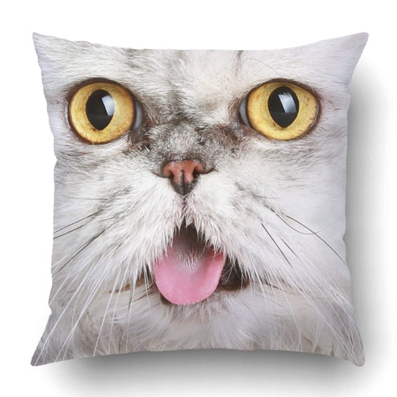 WOPOP Cat portrait Pillowcase Throw Pillow Cover Case 16x16 inches