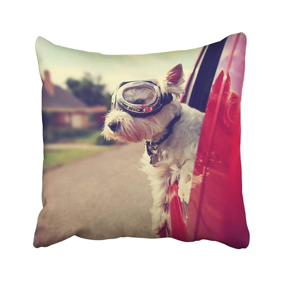 WOPOP Dog Cute Westie West Highland Terrier With Goggles On Riding In Car Down Urban Ride Pillowcase Pillow Cushion Cover 16x16 inches