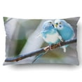 thumbnail image 1 of WOPOP Two Blue Parakeets Perched In A Tree Pillowcase Pillow Cushion Cover 20x30 inch, 1 of 1