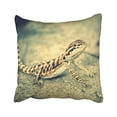 thumbnail image 1 of WOPOP lizard double sided bearded dragon lizard Pillowcase Pillow Cover 18x18 inches, 1 of 1