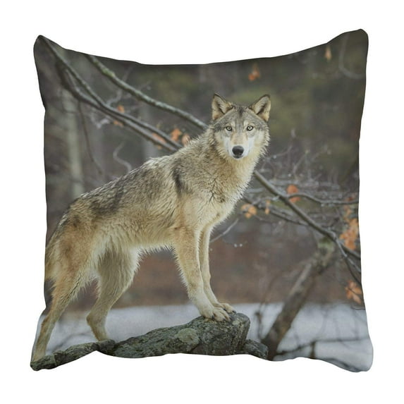 WOPOP wolf Pillowcase Throw Pillow Cover Case 16x16 inches