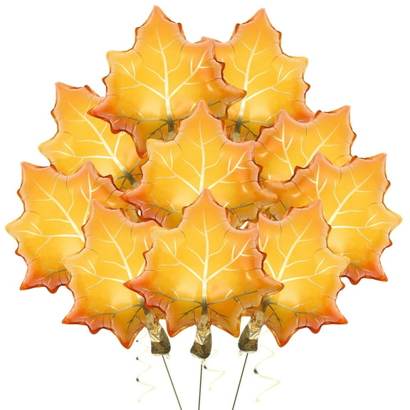 WORGEOUS 10 Pcs Thanksgiving Theme Balloons Aluminum Film Party Decorations Mother