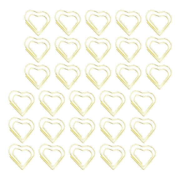 WORGEOUS 100 Pcs Boxed Magazines Paper Clip Women's Office