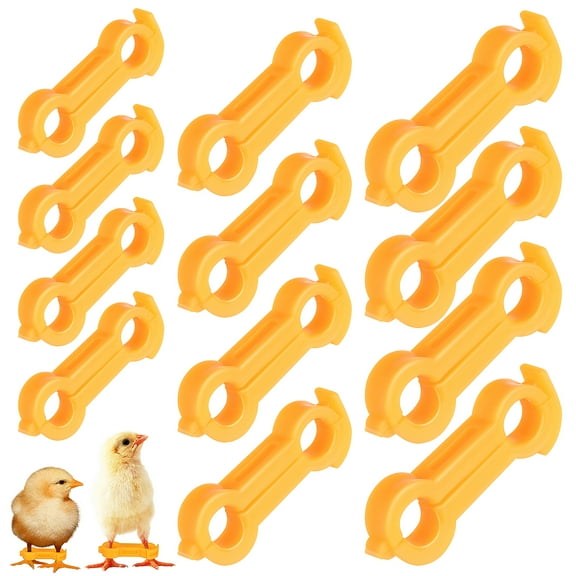 FUEENIRVA 12Pcs Yellow Bird Leg Hobble Strap for Effective Chick Leg Stabilization