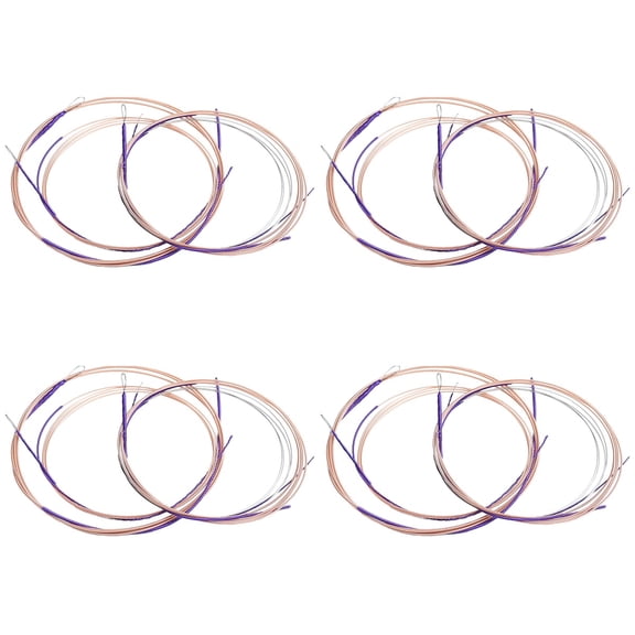 WORGEOUS 16 Pcs Chinese Lute Strings Professional Pipa Strings Replacements Chinese Lute Steel Strings