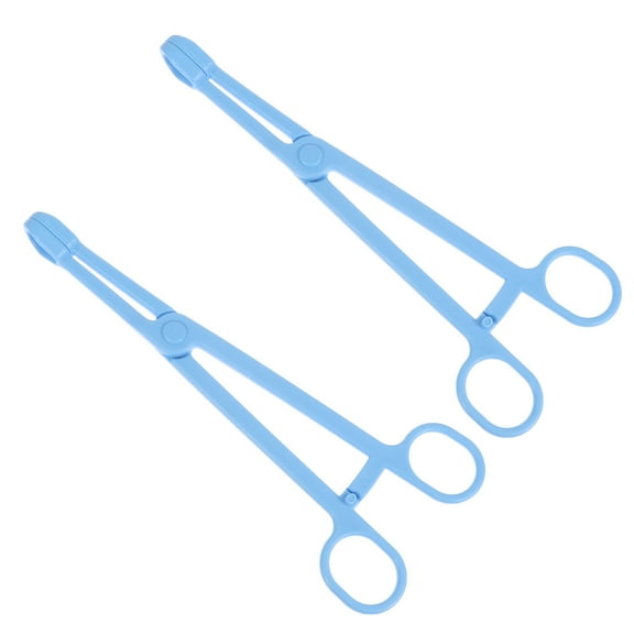 WORGEOUS 2 Pcs Gecko Tank Lizard Reptile Feeding Tool Terrarium