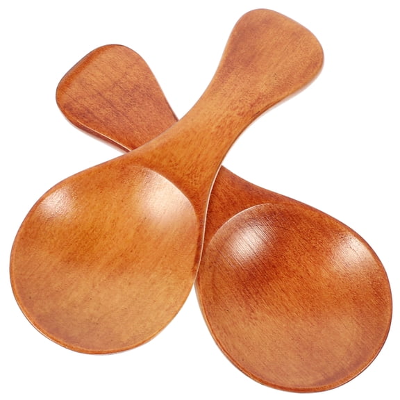 WORGEOUS 2 Pcs Leaky Wooden Short Handle Teaspoon Seasoning Spoons 10X4CM