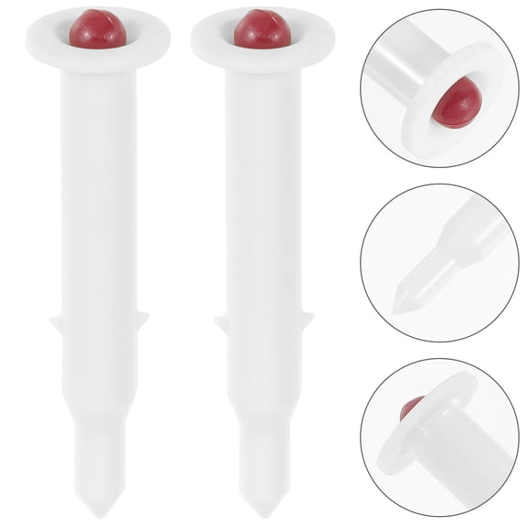 WORGEOUS 2 Pcs Roasting Tester Cooking Temperature Grilled Chicken Roasted