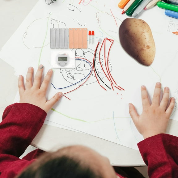 FUEENIRVA electricity kit Fruit Battery Experiment Kit Assorted Color 2 Sets