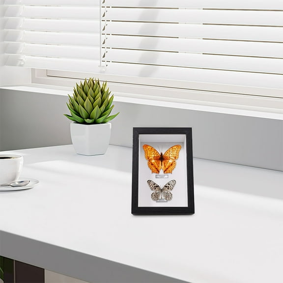 WORGEOUS 2PCS Frame Wood Deep Box Display Cases for Photos Dried Flowers Picture Frames for Wall