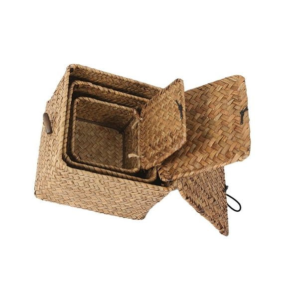 WORGEOUS  3 Pcs Storage Cubes Rattan Basket with Lid Small Size Fruit