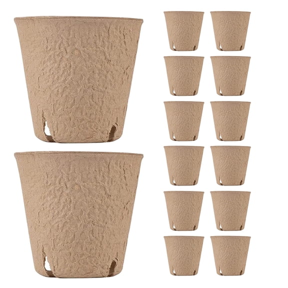 WORGEOUS 50 Pcs Small Medicine Container Garden Planting Tools