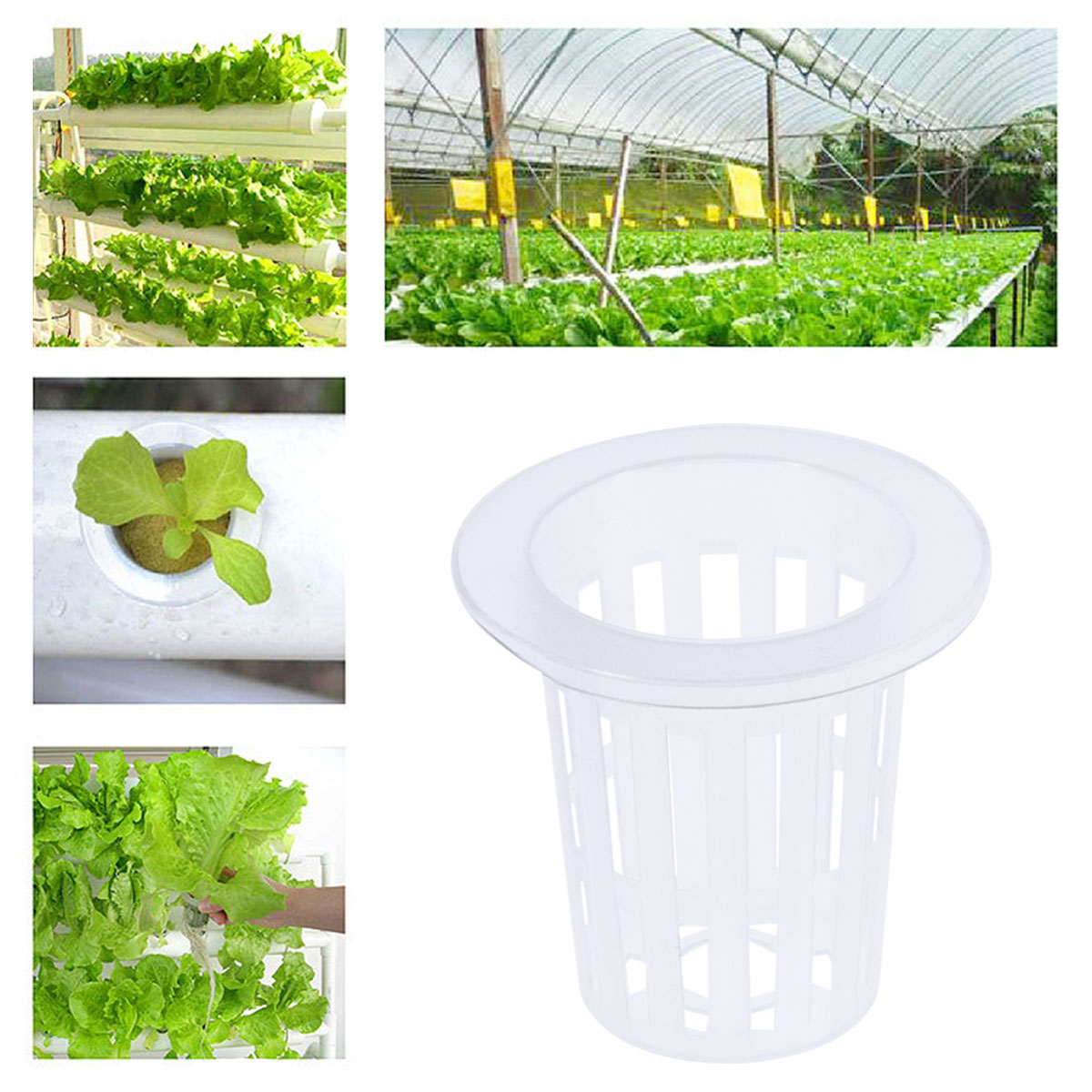 50 Cestini Rete Per Idroponica 4,4 Cm - Vasi Per Acquaponica Con Supporto Per Semi, Plastica UV Resistant (Nero)