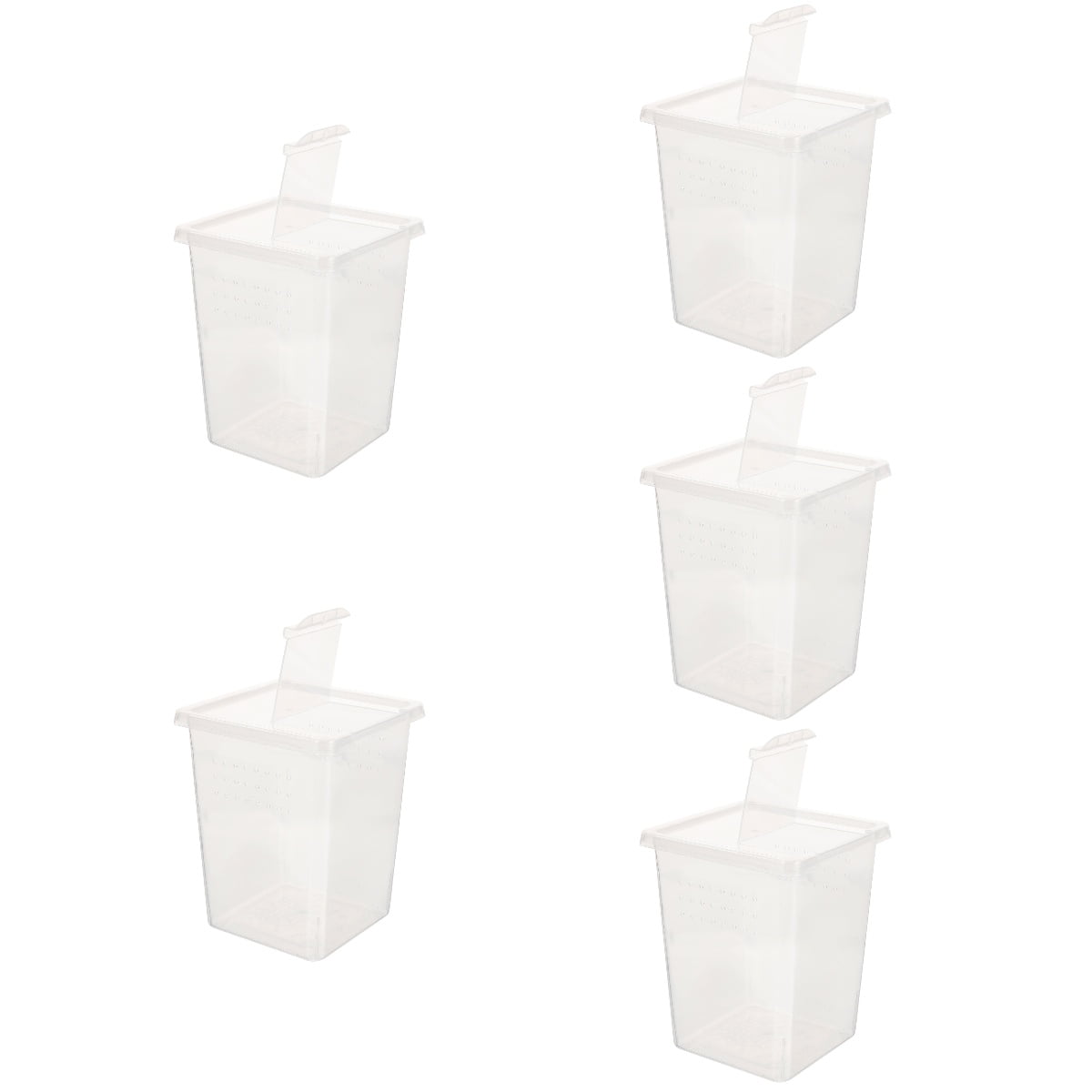 WORGEOUS 5pcs Reptile Feeding Box Snake Breeding Box Transparent Animal Feeding Container
