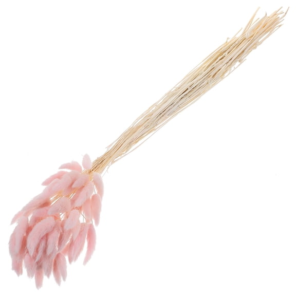 BESTYASH Bunny Tail Natural Dried Plants 60 Pcs for Pastoral Home Decor and Floral Arrangements