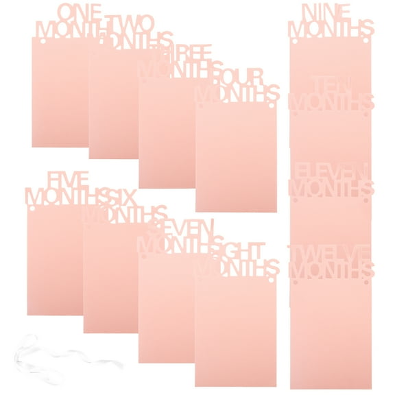 WORGEOUS Baby 12 Months Photo Banner Decoration Banner Hanging Garland for Baby's 1st Birthday (Pink)