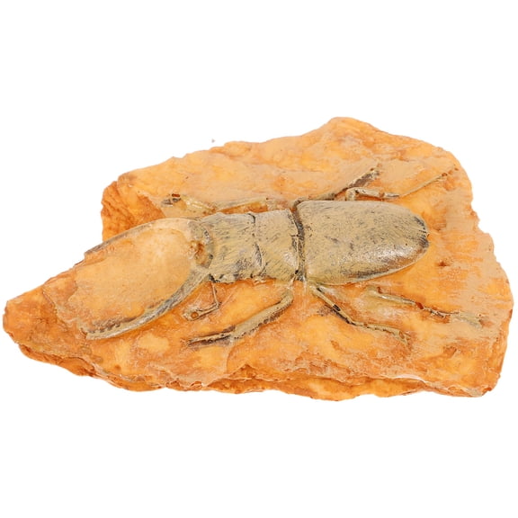 Paleontological Insect Specimen for Teaching in Resin Orange Color Small and Compact Size