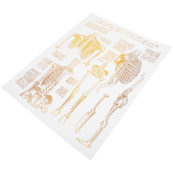 Modern Wall Art Photo Decorative Canvas Painting for Hospital Decoration 1 Piece White