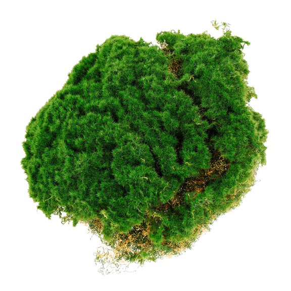 WORGEOUS Micro Landscape Artificial Moss Fake Moss Mini Garden Landscaping Prop Fake Moss Ornament