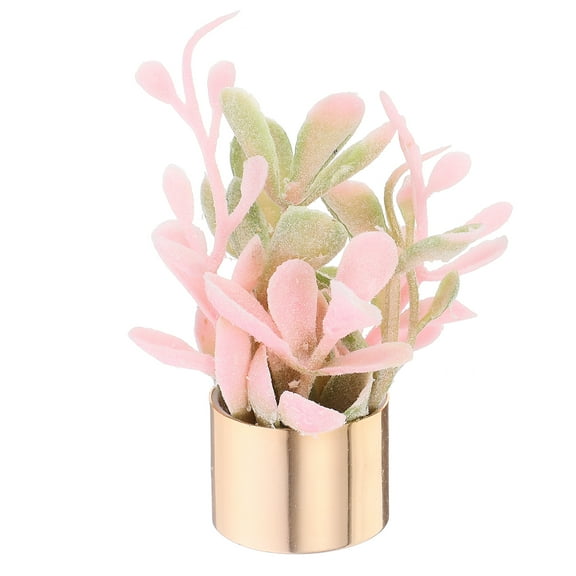 WORGEOUS Miniature Succulents Mini House Potted Plants Landscape Decoration Mini Bonsai