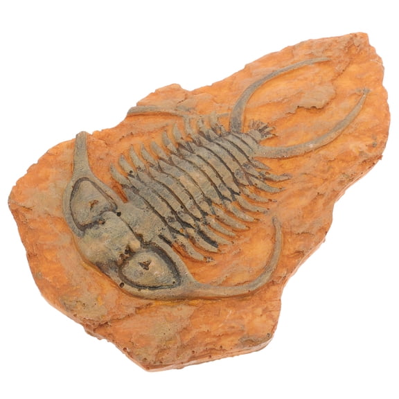 GETAJGHSD Compact Portable Insect Specimen Decoration for Science Teaching and Display