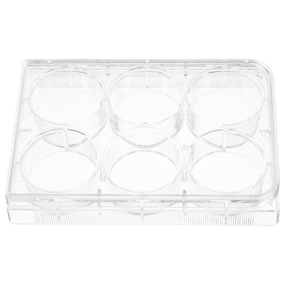 WORGEOUS Tissue Culture Plate Lab Equipment Tissue Culture Tray Cell Culture Plate For Lab